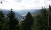 Trail Walking Wildenstein - Col du Bramont - Machey - Blanchemer - Photo 9