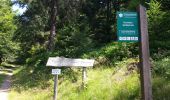 Trail Walking Wildenstein - Col du Bramont - Machey - Blanchemer - Photo 6