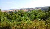 Tocht Stappen Vauquois - les chemins de la mémoire - Photo 8