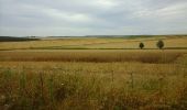 Tocht Stappen Vauquois - les chemins de la mémoire - Photo 3