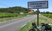 Tour Fahrrad Tarascon - Via Rhôna de Tarascon à bourg-saint-andéol  - Photo 3