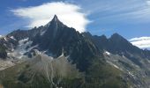 Trail Walking Chamonix-Mont-Blanc - a mer de glace signal de forbes  viaduc chamois 20150728 - Photo 2