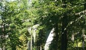 Trail Walking Chamonix-Mont-Blanc - a mer de glace signal de forbes  viaduc chamois 20150728 - Photo 1