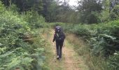 Trail Walking Vresse-sur-Semois - Laforêt _ Membre _ Bohan en terug - Photo 7