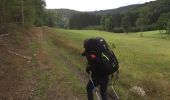 Tour Wandern Vresse-sur-Semois - Laforêt _ Membre _ Bohan en terug - Photo 5