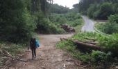 Trail Walking Vresse-sur-Semois - Laforêt _ Membre _ Bohan en terug - Photo 4
