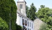 Randonnée Marche Wellin - Sohier-Visite du village - Photo 1