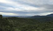 Tocht Stappen Maureillas-las-Illas - CERET 66 - les hauts de CERET - ballade en bas Vallespir - dolmen de la Siureda torre Bel Ull  - Photo 9