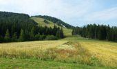 Randonnée Marche Gemeinde Seefeld in Tirol - Reitherjoch Alm - Photo 8