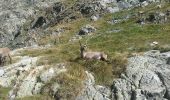 Randonnée Autre activité Tende - lac agnel boucle - Photo 17