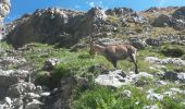 Randonnée Autre activité Tende - lac agnel boucle - Photo 15