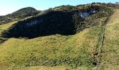 Trail Walking Le Tampon - Trous Blancs de Piton Sec - Photo 13