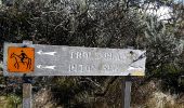 Trail Walking Le Tampon - Trous Blancs de Piton Sec - Photo 8
