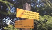 Tour Wandern Champcella - FRESSINIERES - SEYES 16.3KM - Photo 16