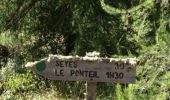 Randonnée Marche Champcella - FRESSINIERES - SEYES 16.3KM - Photo 5
