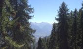 Randonnée Marche Champcella - FRESSINIERES - SEYES 16.3KM - Photo 2