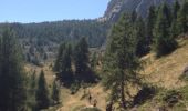 Trail Walking Champcella - FRESSINIERES - SEYES 16.3KM - Photo 1