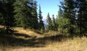 Trail Walking Champcella - FRESSINIERES - SEYES 16.3KM - Photo 11