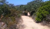 Trail Walking Pianottoli-Caldarello - sentier marin de bruzzi  - Photo 13