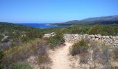 Trail Walking Pianottoli-Caldarello - sentier marin de bruzzi  - Photo 12
