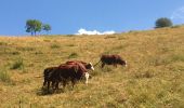 Tour Wandern La Plagne-Tarentaise - Les Coches par la Pierra  - Photo 2