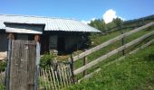 Trail Walking La Plagne-Tarentaise - Les Coches par la Pierra  - Photo 1