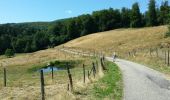 Trail Walking Ottrott - Montée vers le Mont Sainte-Odile - Photo 16