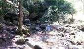 Trail Walking Lans-en-Vercors - Gorges du Bruyant  - Photo 2