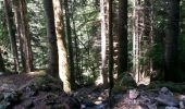 Trail Walking Lans-en-Vercors - Gorges du Bruyant  - Photo 1