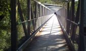 Trail Walking Vernier - bord du Rhône lignon - Photo 2