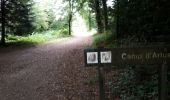 Trail Walking Berrien - Forêt de Huelgoat - Photo 10