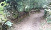 Trail Walking Berrien - Forêt de Huelgoat - Photo 9