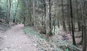 Trail Walking Berrien - Forêt de Huelgoat - Photo 7