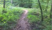 Trail Walking Norroy-le-Veneur - bellevue -woippy - Photo 7