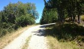 Trail Walking Eyne - Cambre D Aze - Photo 1