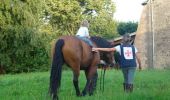 Trail Equestrian Havelange - Route des Templiers Cavaliers Jour2 - Photo 2