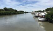 Randonnée Marche Vauvert - 30 VAUVERT - GR653 - chemin d'Arles - FRANQUEVAUX - d'un canal a l'autre - GALLICIAN  - ch. des Coquillons - Photo 10