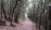 Trail Walking Pardailhan - coulouma - Photo 4