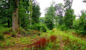 Trail Walking Ivors - en forêt de Retz_38_Ivors_le buisson de Walligny_AR - Photo 3