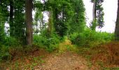Tocht Stappen Ivors - en forêt de Retz_38_Ivors_le buisson de Walligny_AR - Photo 4