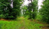 Trail Walking Ivors - en forêt de Retz_38_Ivors_le buisson de Walligny_AR - Photo 9