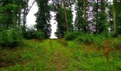 Trail Walking Ivors - en forêt de Retz_38_Ivors_le buisson de Walligny_AR - Photo 12
