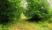 Trail Walking Ivors - en forêt de Retz_38_Ivors_le buisson de Walligny_AR - Photo 16