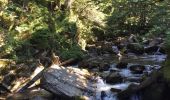 Trail Walking Laruns - boucle lacs d'ayous - Photo 14