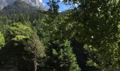 Trail Walking Laruns - boucle lacs d'ayous - Photo 11