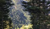 Trail Walking Laruns - boucle lacs d'ayous - Photo 7