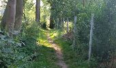 Trail Walking Lede - de 2 molenbeeken - Photo 5