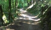 Trail Walking Arlon - Guirsch, vallée des  moulins - Photo 15
