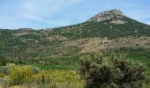 Tour Wandern Cabrières - cabrieres. mont vissou. tour de guet - Photo 1