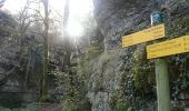 Trail Walking Optevoz - rando cascade de la roche - Photo 2